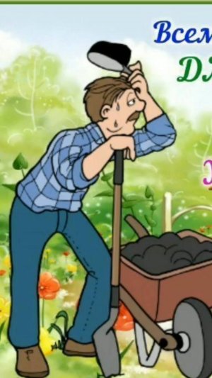 Дача август 2025