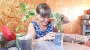 Съездила в город за подарками на День Рождения,  от Мариночки и Иринка,  Даже и не мечтала о таком