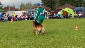 4 Отл. Ирендорф ЖОФРЕЙ +++ №82. Главная выставка немецких овчарок России 2025