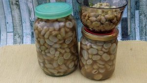 Подготовка бобов впрок. Сохраняем урожай.