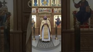 Исцеление бесноватого отрока. О благодати, вере и испытаниях. Проповедь о. Андрея. 17.8.25