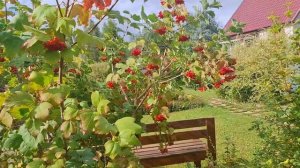 Чудеса моей сварки. Переменная дождливость. Гирлянда ночью