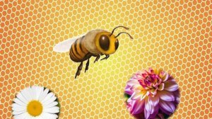 ПЧЁЛКА. минутка отдыха