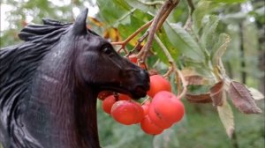 Маленький фотосет