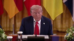 TRUMP_ President Stubb of Finland. He's uh, somebo