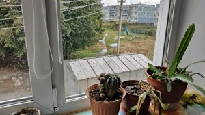 дождь в деревне