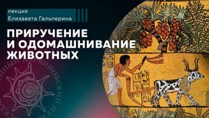 Приручение и одомашнивание животных