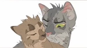 Эдит Ветряной Звезды и Колючий Звезды 💞