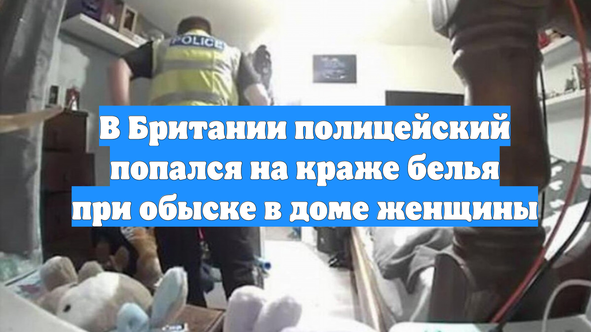 В Британии полицейский попался на краже белья при обыске в доме женщины