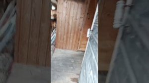 document_5265073590667081272