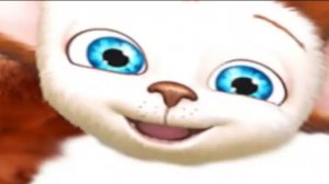 что такое шиза