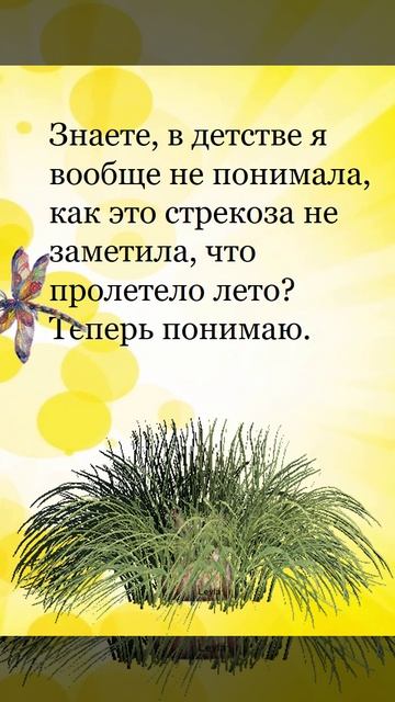 Notepad смотреть онлайн