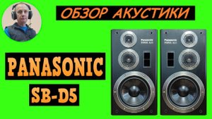 Обзор акустической системы PANASONIC SB-D5