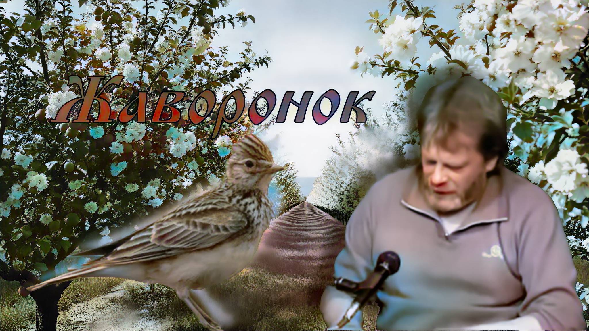 Жаворонок смотреть онлайн