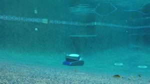 Dolphin S 200 Robotic Pool Cleaner by Maytronics