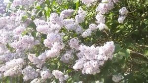 Ты моя любовь  - Автор музыка и поёт Александр Юрпалов