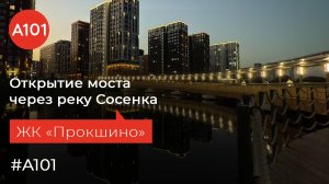Пешеходный мост в Прокшино: как он меняет жизнь района?!