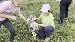Это видео просто невозможно смотреть без слез: дети-сироты в собачьем приюте