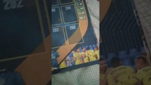 2 ЧАСТЬ НАКЛЕЕК ПАНИНИ 2025 365