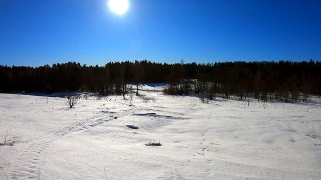 Лыжный поход на р. Нудоль | Шок контент, расследую убийство бобра | Варю суп из снега смотреть онлайн
