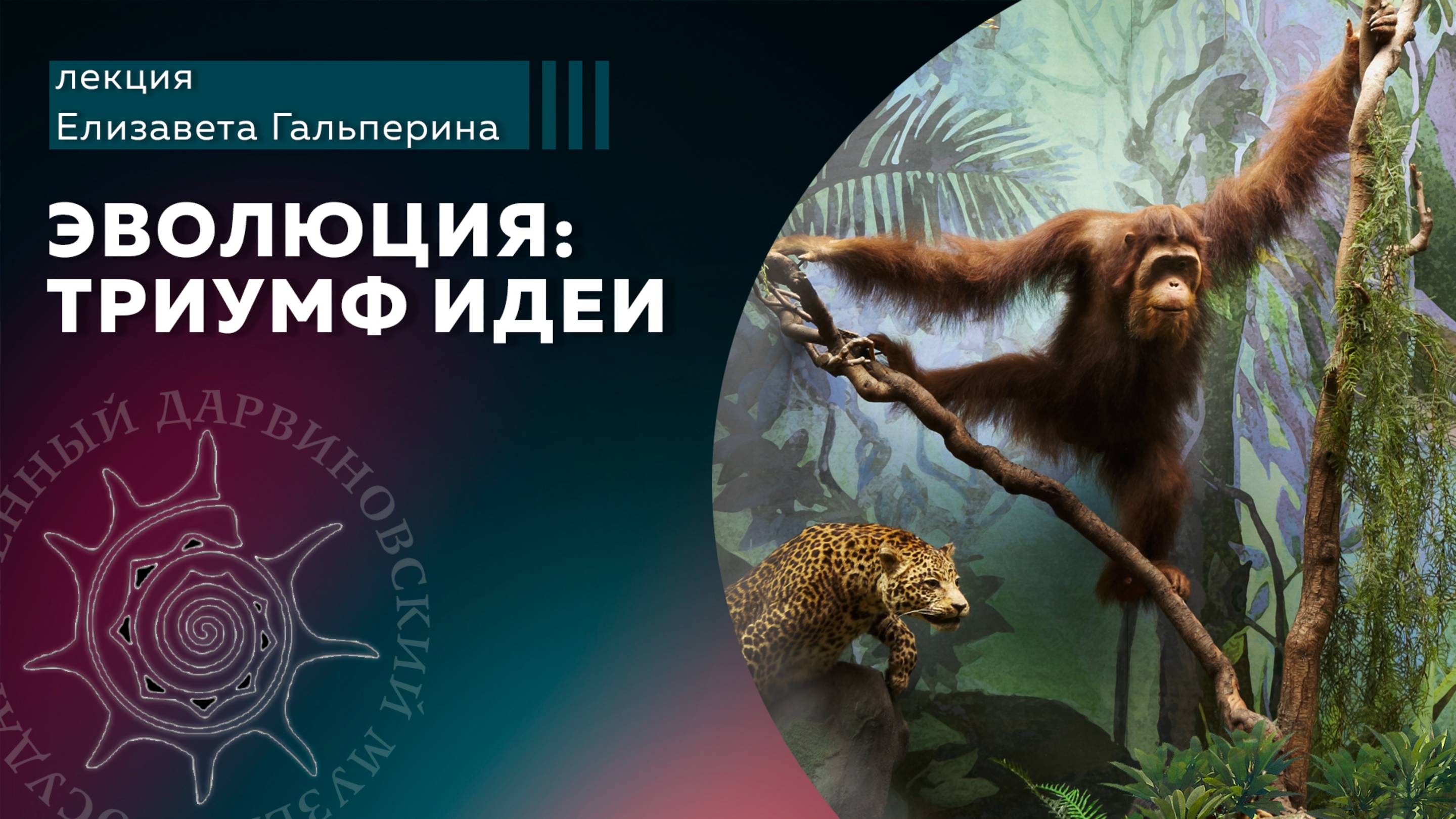 Эволюция: триумф идеи