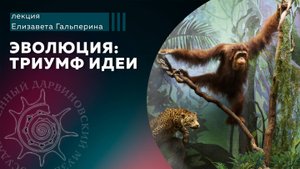 Эволюция: триумф идеи