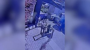 В Одинцове разыскивают хозяина собаки, которая напала на женщину около магазина