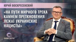 Политический аналитик | Юрий Воскресенский | Скажинемолчи