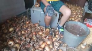 У бабушки в деревне, помогаю по хозяйству 18-08-2025