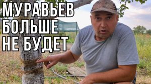 Ловчий пояс от Муравьев за 1 рубль Своими Руками