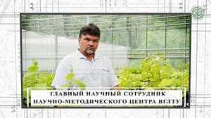 Лукоморье+. 2 серия