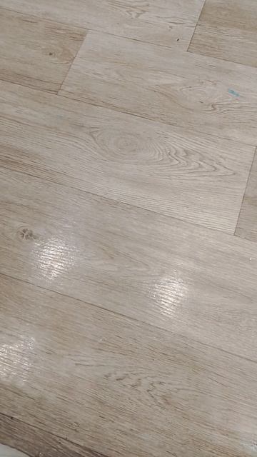 дрессировка.