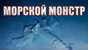 Скелет тридцатиметрового морского змея нашли в Средиземном море