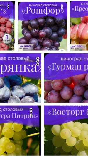 Как я купила виноград на Валберис