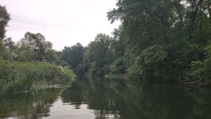 Сплав по реке Воронеж лето 2022 года