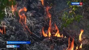 Сразу два крупных пожара произошли сегодня в Симферопольском районе