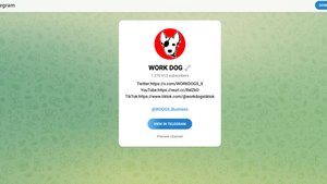 Обзор канала WORK DOG: как работает бот и что говорят пользователи?