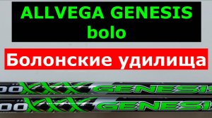 ALLVEGA GENESIS bolo - БОЛОНСКИЕ удилища. АЛЛВЕГА ДЖИНЕЗИС боло. Обзор болонских удилищ ALLVEGA