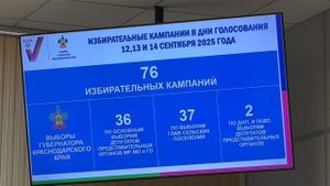 На территории Москвы будут работать 14 избирательных участков по выборам главы Краснодарского края