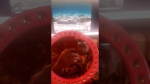 В РОЛИКЕ СПОЮ ИЗ МОИХ СОБСТВЕННЫХ ПЕСНИ.