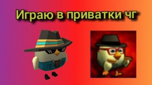 Играю в приватки чг из рустора