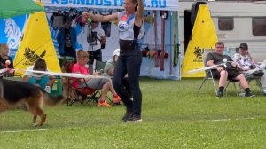ОТКРЫТЫЙ КОБЕЛИ / Главная выставка немецких овчарок России 2025