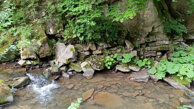 Горная Речка Каменка в Карпатах смотреть онлайн