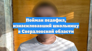 Пойман педофил, изнасиловавший школьницу в Свердловской области