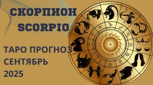 СКОРПИОН ТАРО прогноз 💰 что принесёт вам сентябрь 2025 года