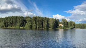 Август 2025. Переславль. Дача