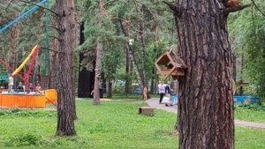 Милая рутина повседневности. Релакс. Антистресс