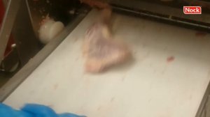 Шкуросъемная машина для птицы NOCK CORTEX CBP496 POULTRY