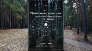Тайна белых точек леса  2025.08.19  The mystery of the white dots of the forest