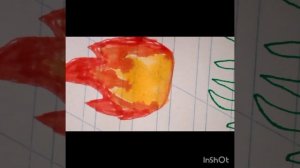 InShot_20250819_142910846.mp4